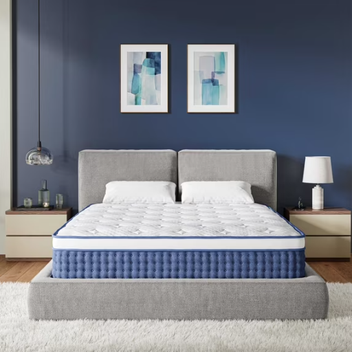 EGOHOME StarryRest 12 inch Queen Medium Euro Top Hybrid Mattress in a Box Deal