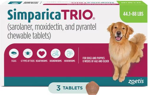 Chewy Prescription Medications: 50% Off First Prescription Auto-Ship Deal