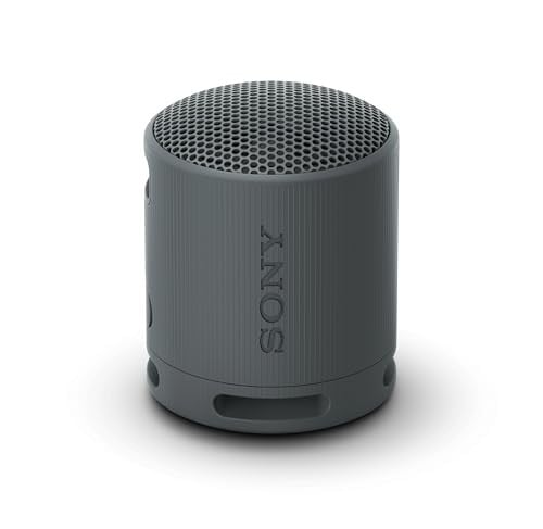 Sony SRS-XB100 IP67 Wireless Bluetooth Portable Speaker
