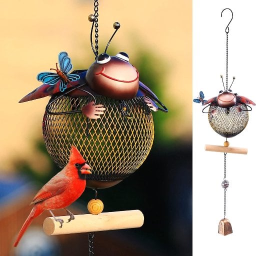 Solar Ladybug Wild Bird Feeder Deal