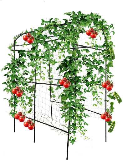 Lolsea 90"x70"x45" U-Shape Stainless Steel Cucumber Trellis w/ Climbing Net Deal