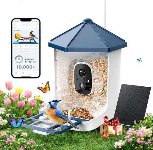 LIWAN Bird Feeder with Camera Solar Powered Deal