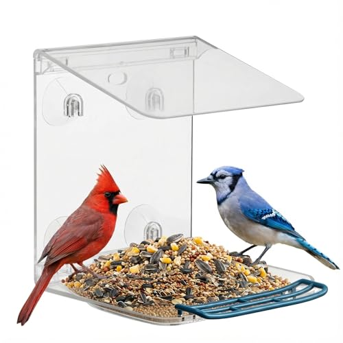 Window Bird Feeder with Strong Suction Cups Deal