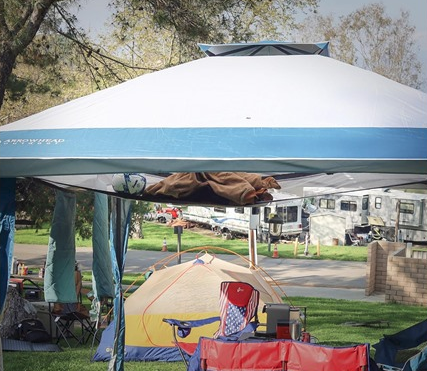 ARROWHEAD OUTDOOR 12' x 12' Universal Canopy Shelf