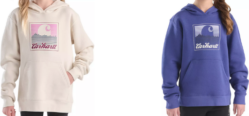 Carhartt Girls' or Boys' Graphic Sweatshirt Deal