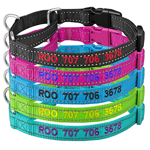 Custom Training Martingale Dog Collars with Buckle