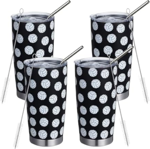 4-Pack 20oz Stainless Steel Vacuum Insulated Volleyball Tumblers