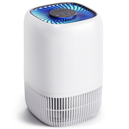 VOOPNU Air Purifier
