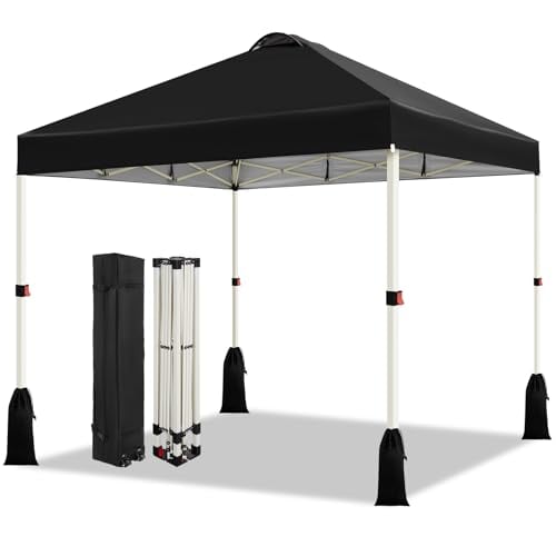 WEIZE 10x10 Pop Up Canopy Tent