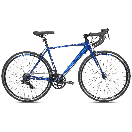 Giordano Acciao Road Adult Bicycle Small Frame - Multi Colors