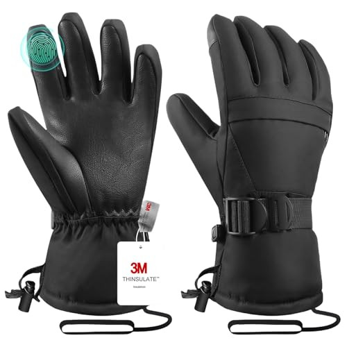 Ski Gloves
