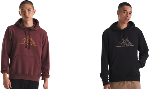 The North Face Men's Evolution MTN Graphic Hoodie Deal