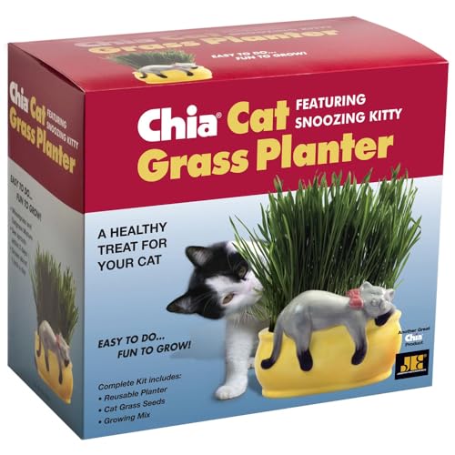 Chia Pet Kitty Cat Grass Decorative Pottery Planter
