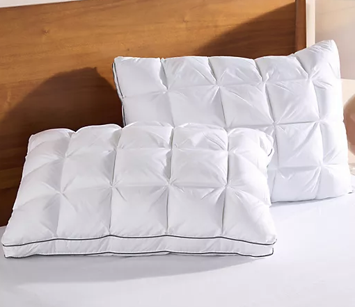 Home Reflections Comfort Cushion Pillows 2-Pack (Standard Queen)