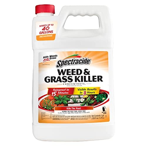 Spectracide Weed & Grass Killer Concentrate for Driveways & Walkways 1 Gallon Deal