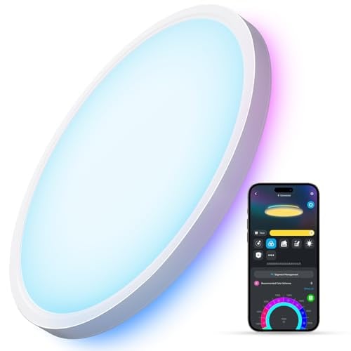 Govee Smart LED Ceiling Light Fixture Deal