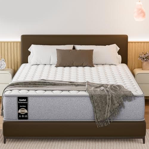 Greaton 9-Inch Medium Firm High Density Foam Mattress Twin XL