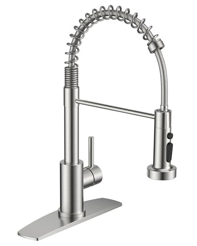 FORIOUS Kitchen Sink Faucet with Sprayer, Brushed Nickel