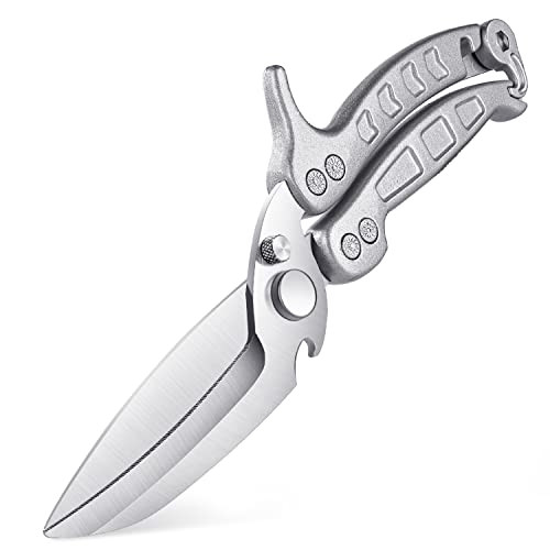 DRAGON RIOT Heavy Duty Poultry Shears - Stainless Food Kitchen Scissors (Silver or Gold)