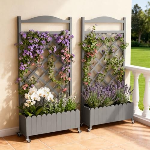 2 Pack Raised Garden Bed Deal