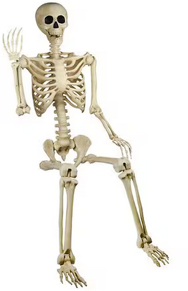 Happy Halloween Skeleton 5 ft