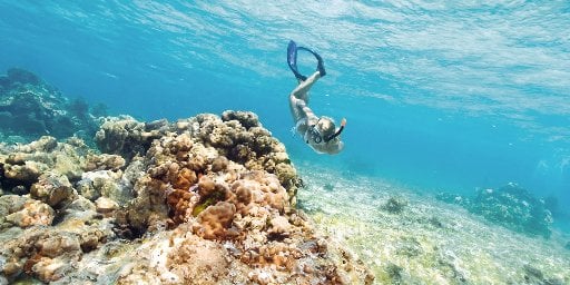 7-Night Eastern Caribbean Cruise from Florida Deal