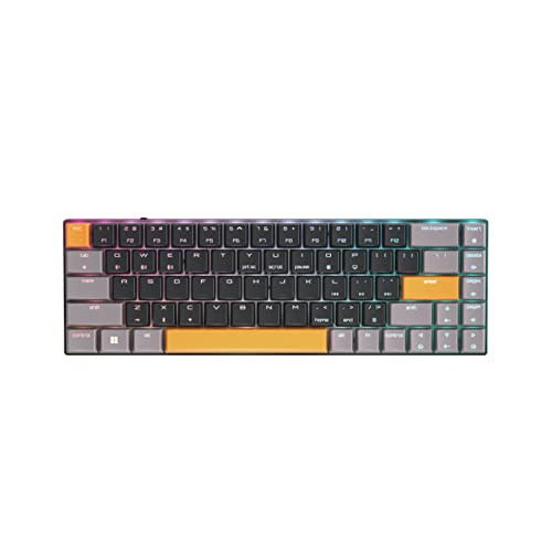Cherry 65% MX-LP 2.1 Compact Wireless RGB Gaming Keyboard (MX Silver Speed Switches)