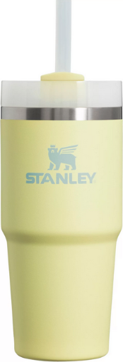 14-Oz Stanley Quencher Stainless Steel Tumbler (Pomelo)