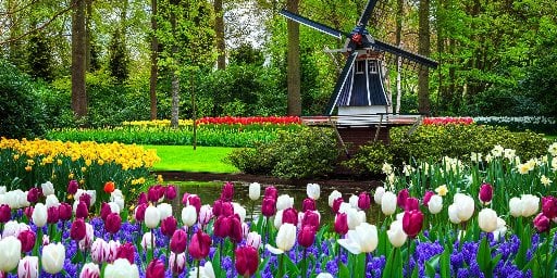 Avalon Waterways Holland & Belgium Tulip Season River Cruise Deal
