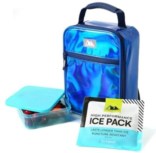 Arctic Zone Chrome Lunch Box Combo w/ 210g Ice Pack and Sandwich Container Deal