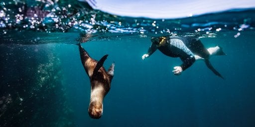 Ecuador & Galapagos 10-Night Adventure with Flights