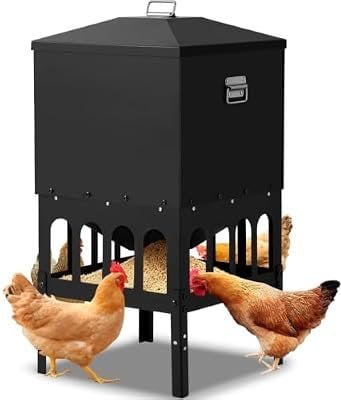 Chicken Feeder