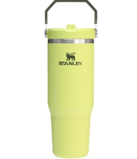 30-oz Stanley IceFlow 2.0 Flip Straw Tumbler with Handle Insulated Stainless Steel