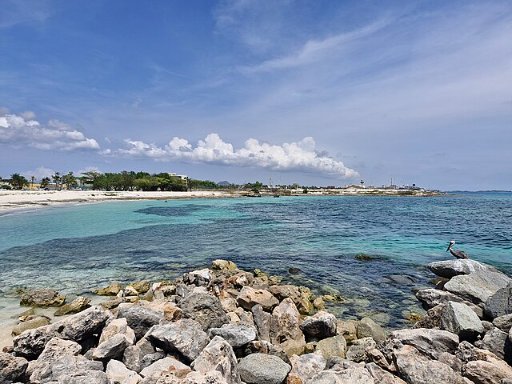 Roundtrip Raleigh NC to Aruba Airfares