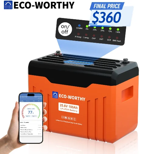 ECO-WORTHY 2560Wh 24V 100AH LiFePO4 Lithium Battery
