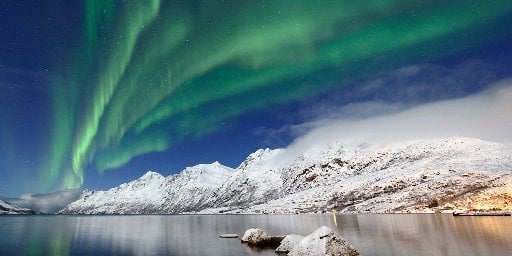 14-Night Arctic & Northern Lights Cruise, Roundtrip from Rotterdam Deal
