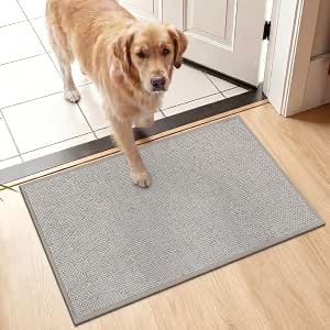 Non Slip Indoor Door Mat