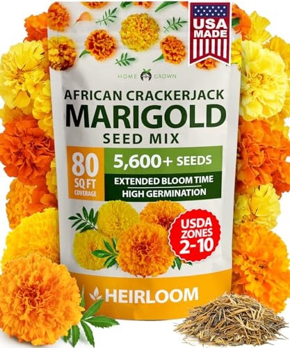 Marigold Seeds for Planting Outdoors Bulk Deal