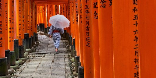 9-Night Japan by Train Tour w/ International Flights