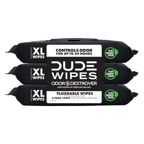 DUDE Wipes Odor Destroyer Flushable Adult Wet Wipes 144-Count