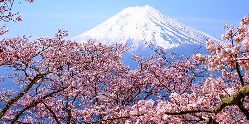 10-Night Japan Cruise Package, Roundtrip from Tokyo  Deal