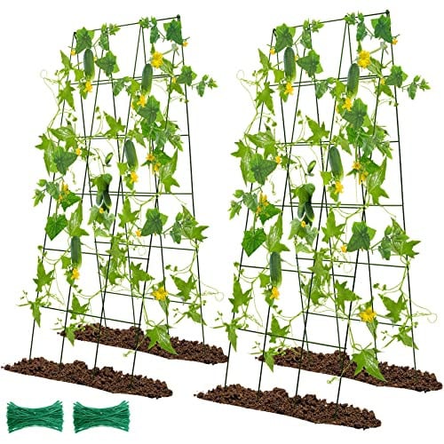Kyrieval 48" Hx 18" L Cucumber Trellis (2 Packs) Deal