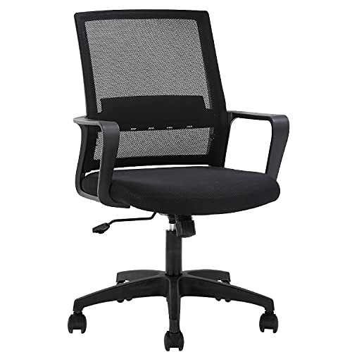 FDW Ergonomic Office Desk Chair w/ Lumbar Support (Black)
