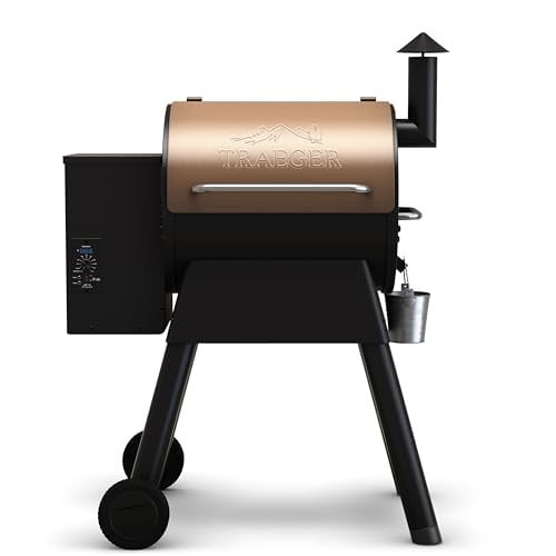 Traeger Grill Pro 22 Electric Wood Pellet Grill & Smoker