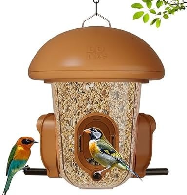 LONA Bird Feeders for Outdoors Hanging - 3 Separate Compartments
