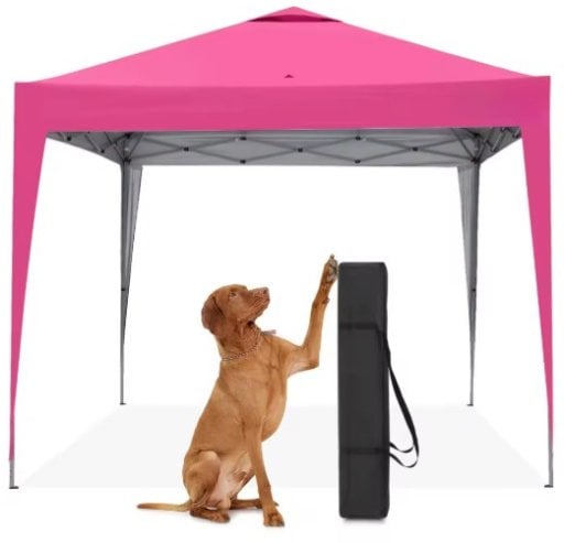 10x10 Pop Up Canopy Tent Deal