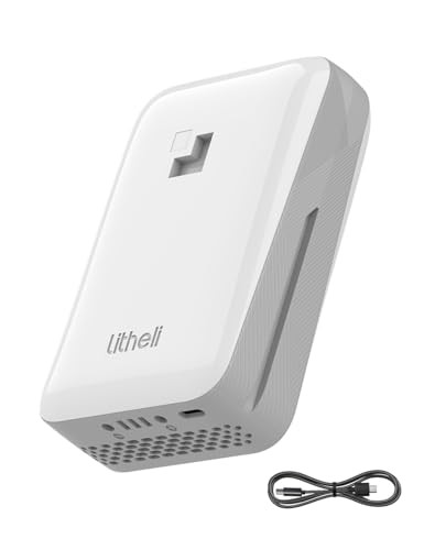 LiTHELi 4.0Ah 20V Replacement U20 Battery