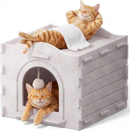 Apasiri Cat Bed Cave for Indoor Cats Deal