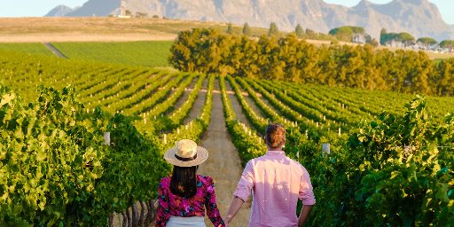 South Africa: 10-Night Safari & Wine Tour