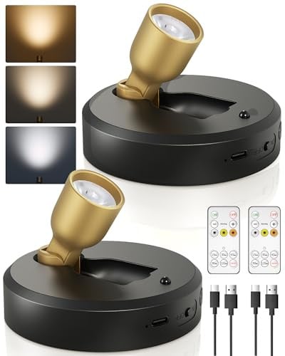 Spotlight Indoor Rechargeable Battery Picture Lights